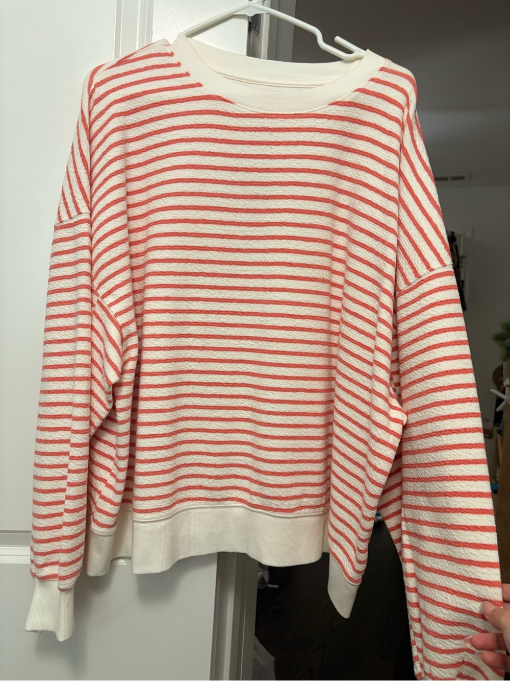 American Eagle Crewneck